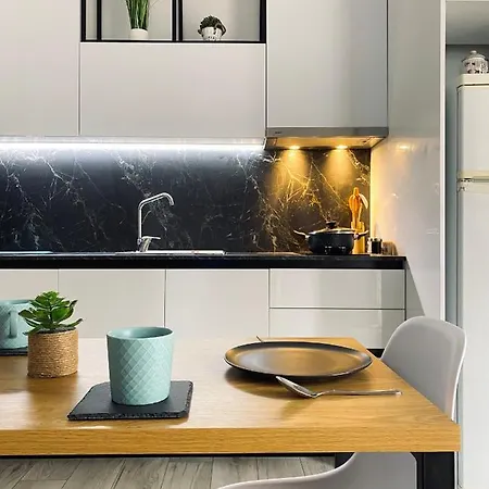Newly Renovated One Bedroom In Apartament *
